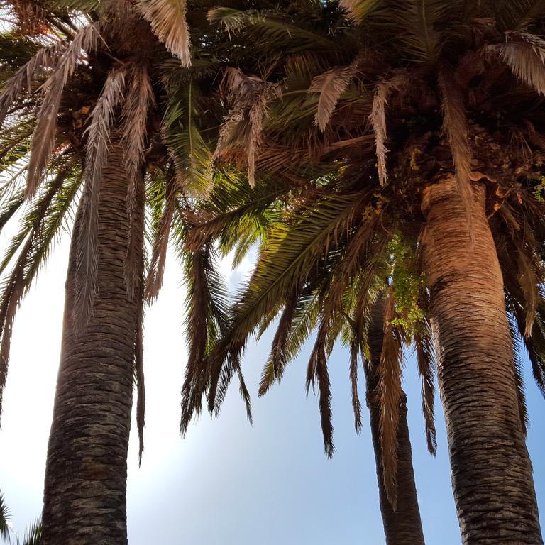 غراناديا دي أبونا Casa Rural El Traspatio المظهر الخارجي الصورة