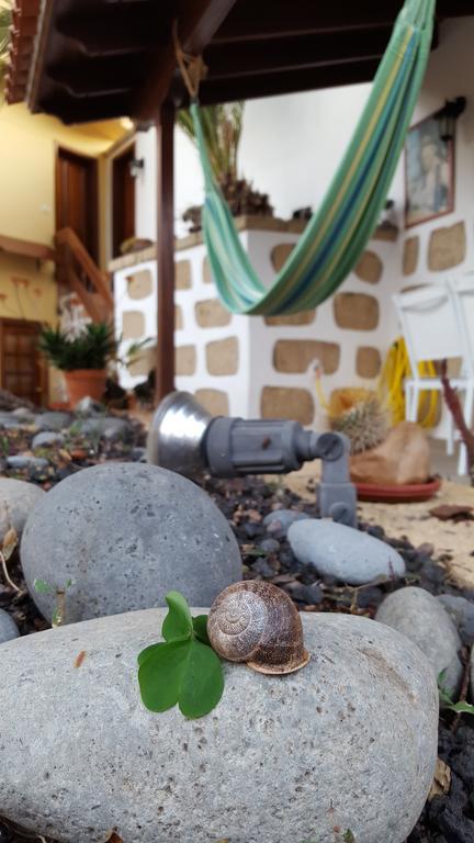 غراناديا دي أبونا Casa Rural El Traspatio المظهر الخارجي الصورة